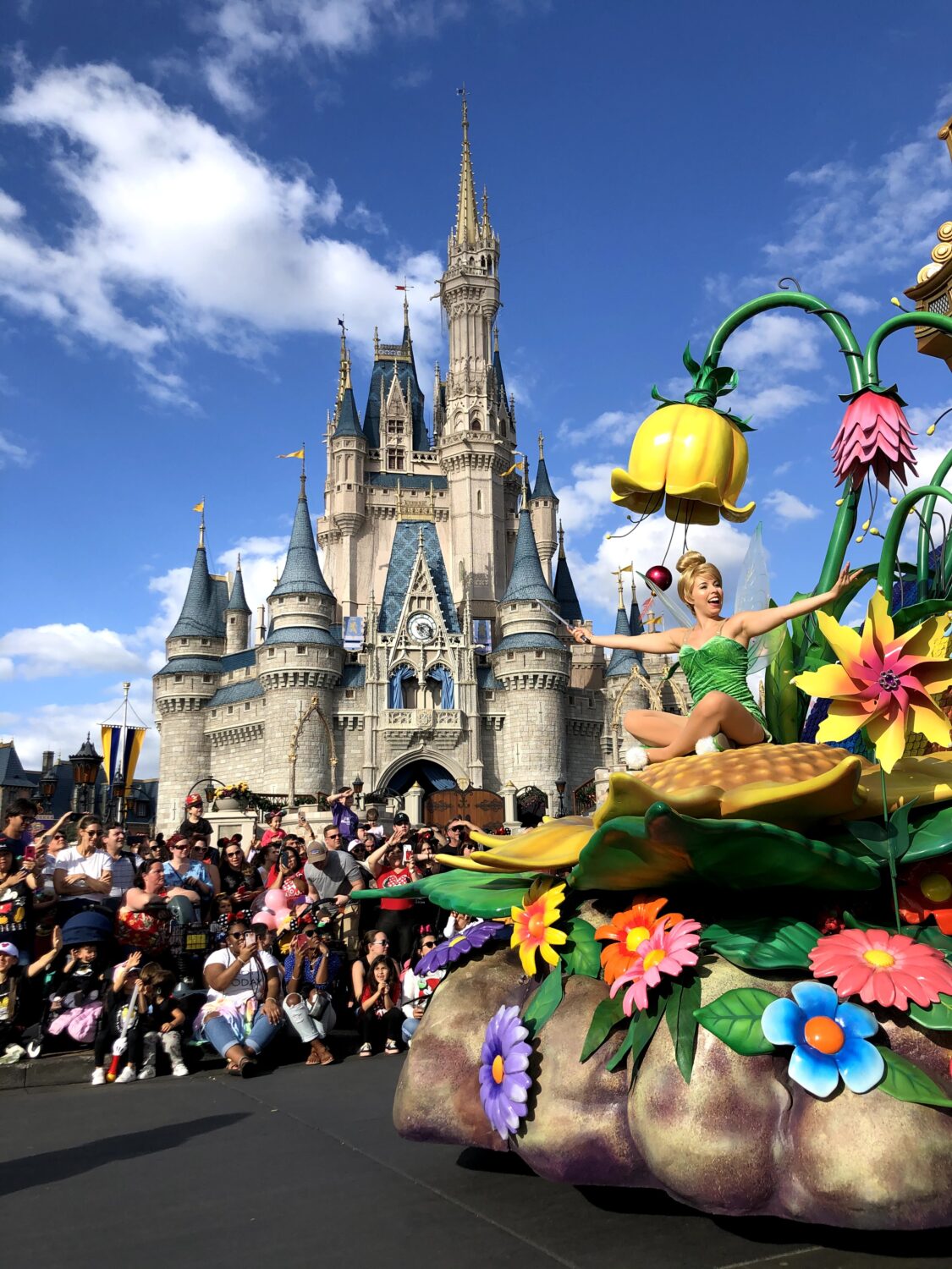 disney magic kingdom tour