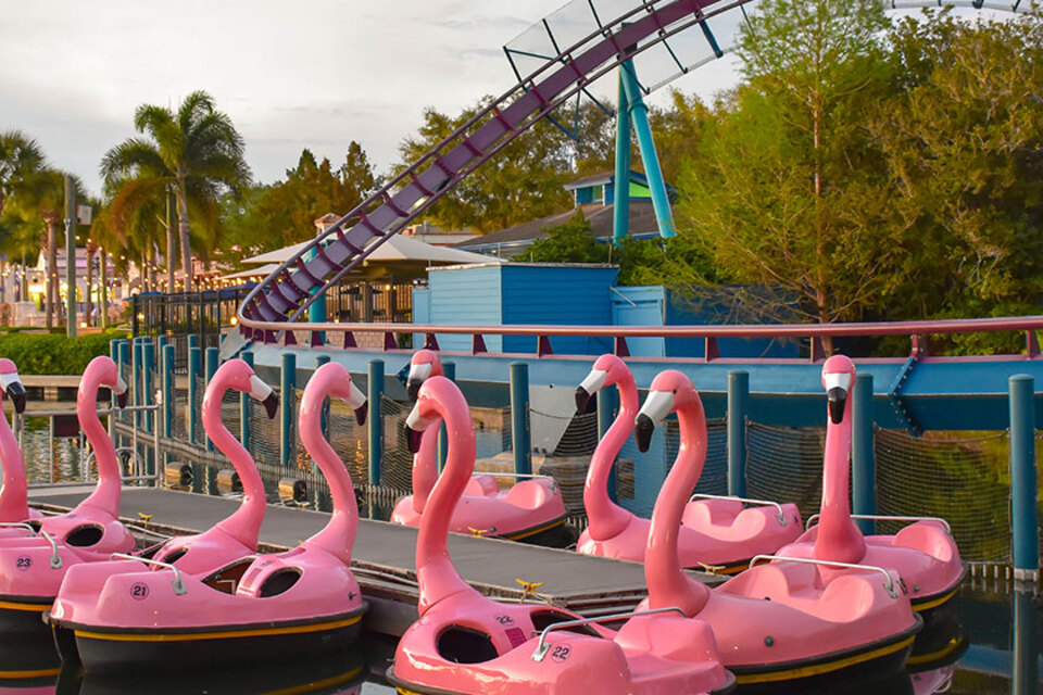 7 Best Sea World Rides You Can’t Miss In Orlando