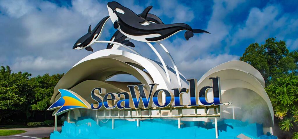 THINGS TO DO AT SEA WORLD: 7 CAN’T MISS EXPERIENCES