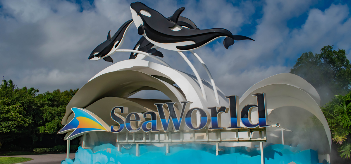 Travel Bucket-List: Why Choose a SeaWorld Orlando VIP Tour For Your Next Adventure