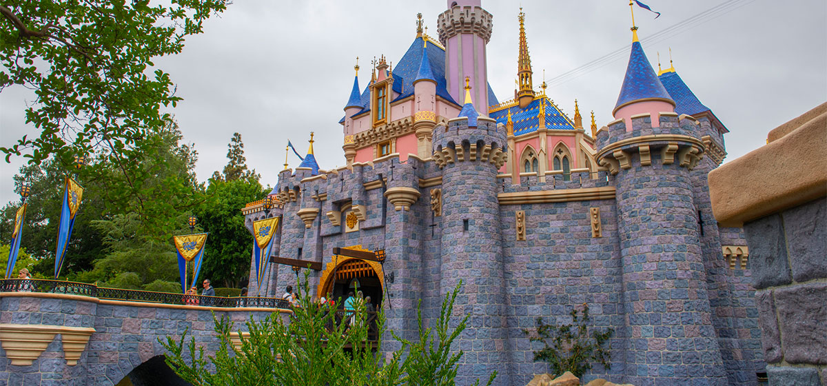 Experience Disneyland Like Celebrities: The Perks Of A VIP Tour